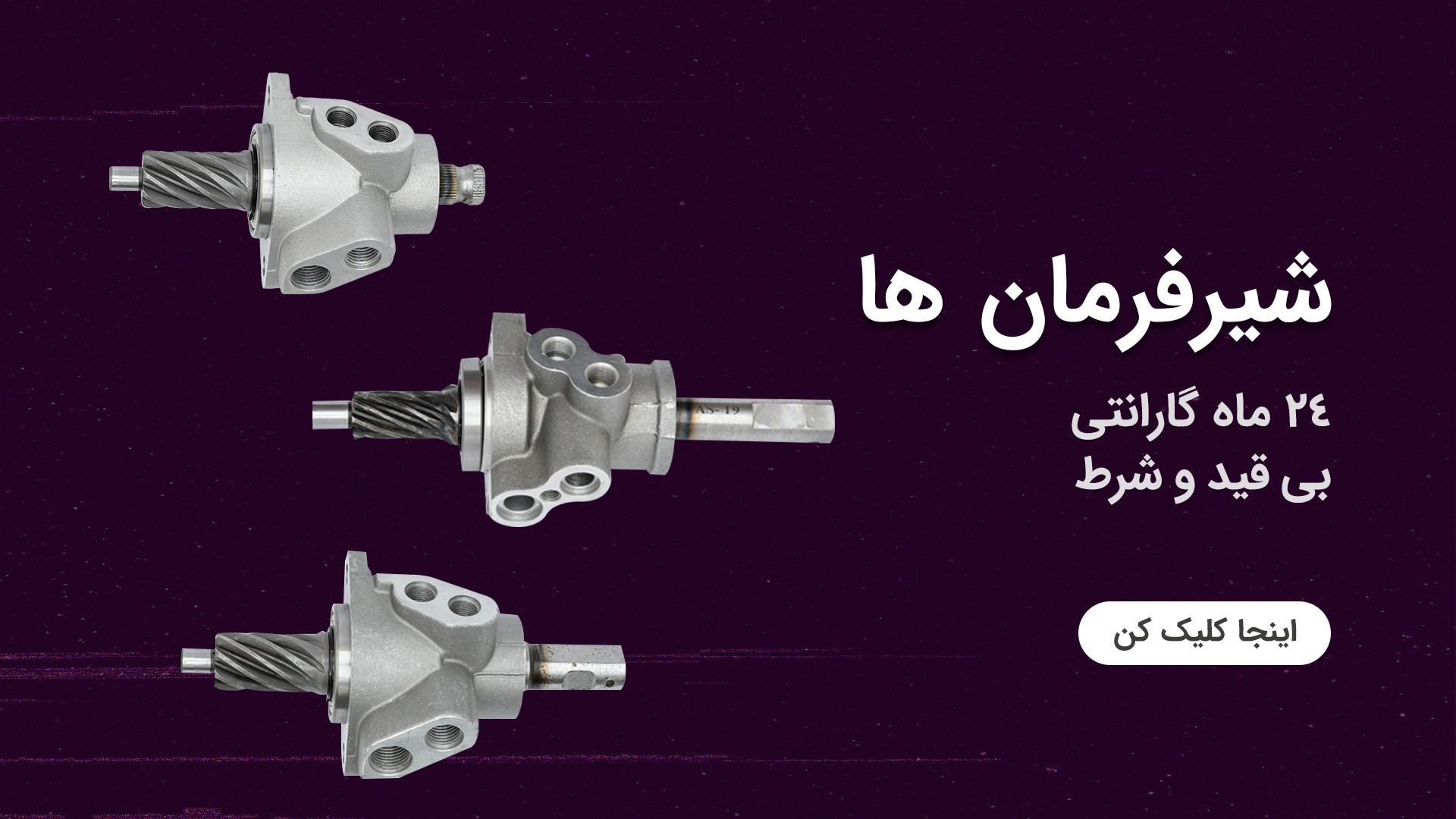 شیر فرمان ها